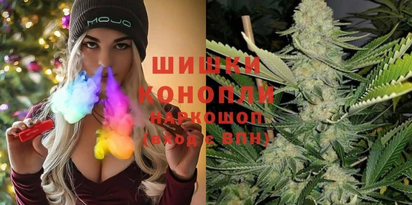 соль ск Богородицк