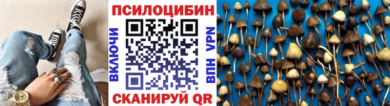 Псилоцибиновые грибы Magic Shrooms купить Карасук